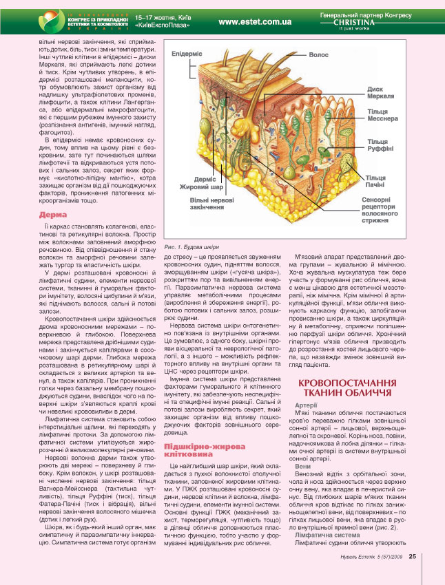 мезотерапія обличчя